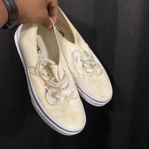 Low tap van skater (casual or skater shoes)